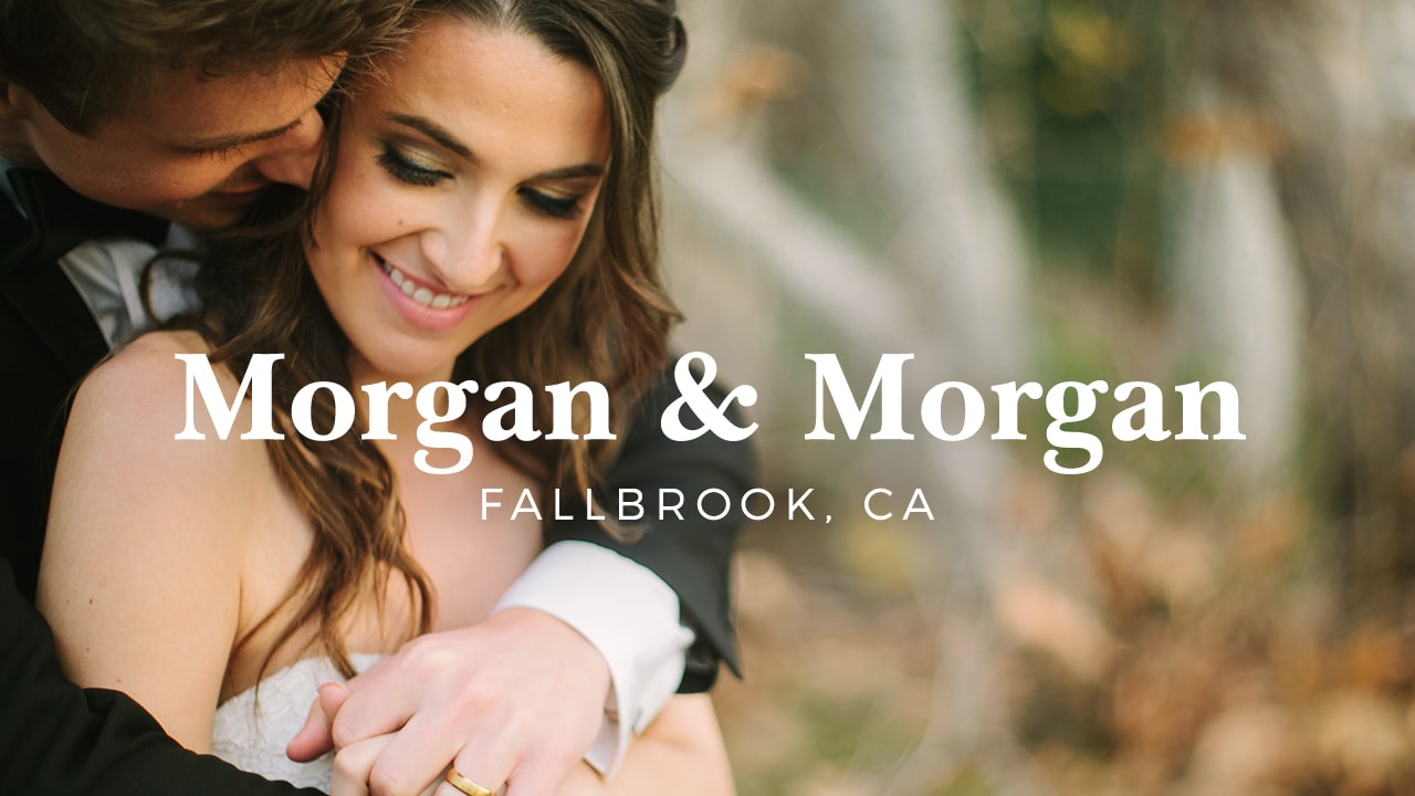 Morgan & Morgan Lott